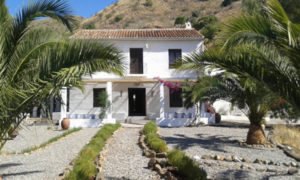 Finca del Arroyo de las Adelfas