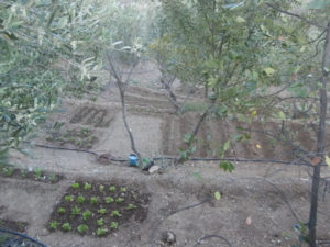 Finca del Arroyo de las Adelfas