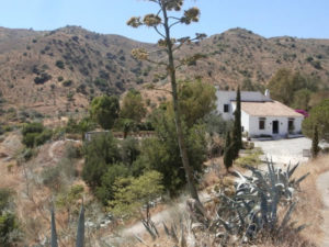 Finca del Arroyo de las Adelfas