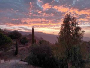 Finca del Arroyo de las Adelfas Malaga sunrise