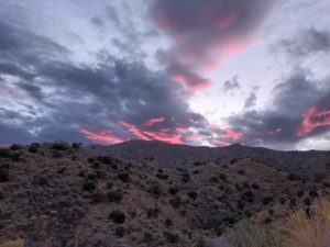 Finca del Arroyo de las Adelfas sunset